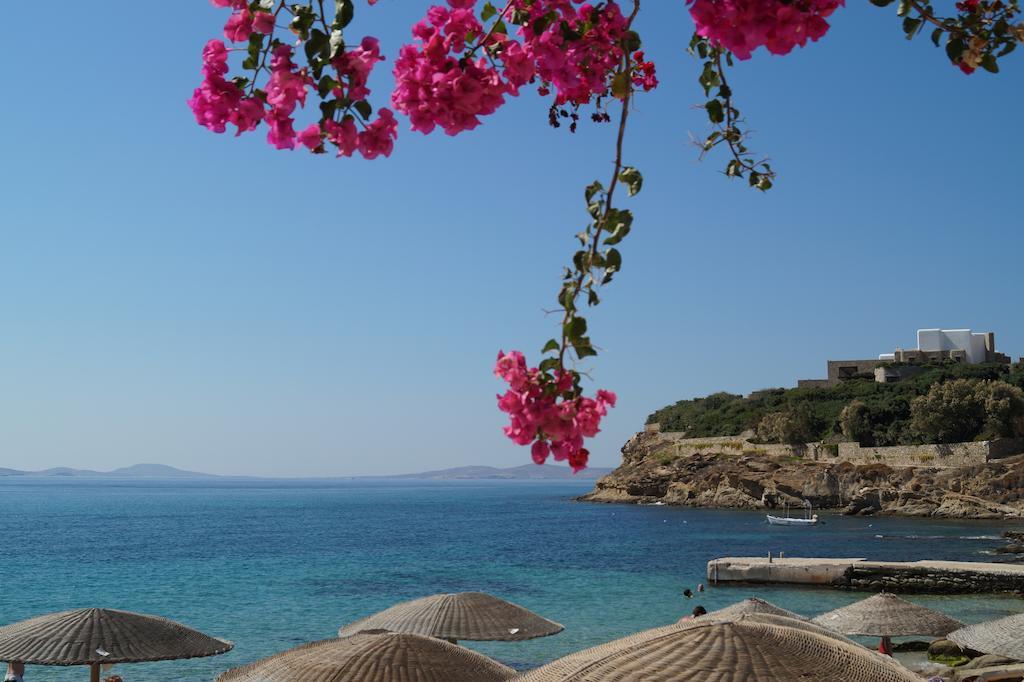 Amazing View Hotel Apartments Agios Stefanos (Mykonos) Exterior foto